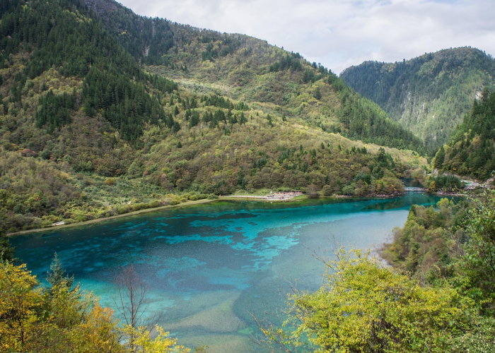 吏组词,速组词 吏组词,速组词