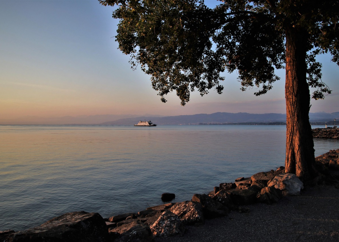 刘晓庆今年几岁，刘晓庆今年几岁了现在还在演戏吗