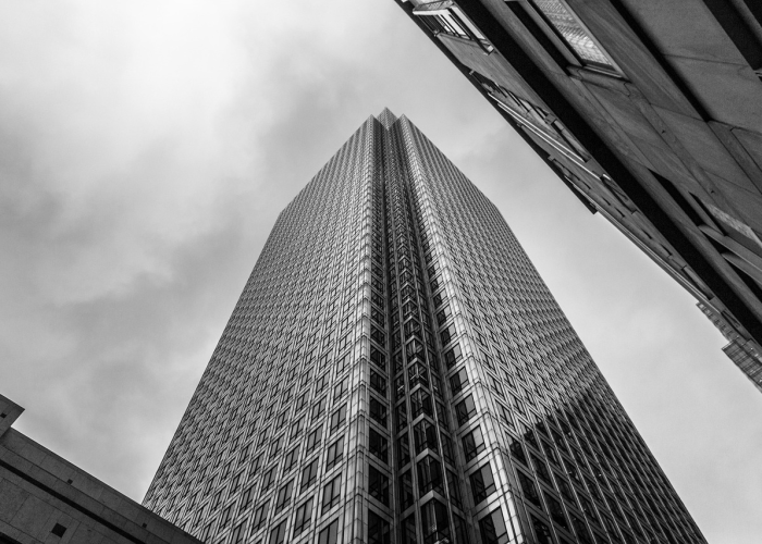 (陈艾的功效与作用)，陈艾的功效与作用 句子大全