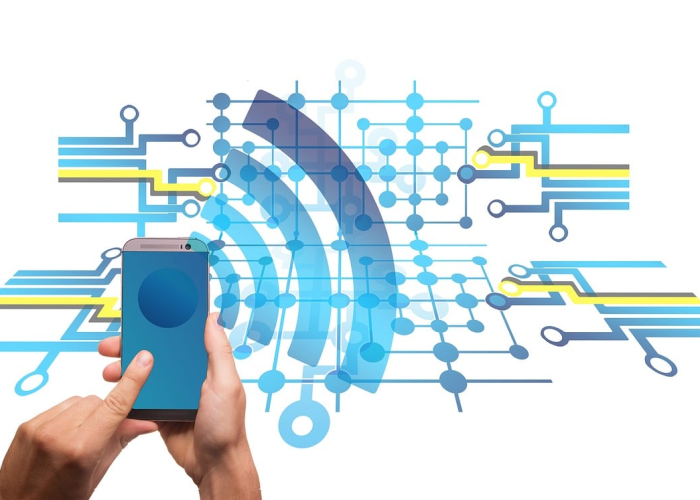 广州有机蔬菜，广州有机蔬菜市场地址