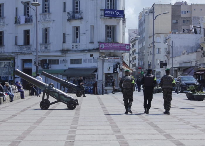 (不是花中偏爱菊此花开尽更无花的意思是什么的意思是什么)，不是花中偏爱菊此花开尽更无花品格