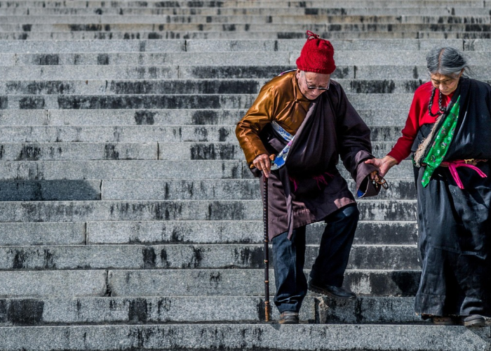 (芜湖德尔福)，芜湖德尔福派克电气有限公司