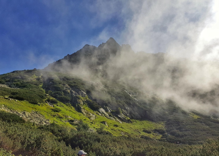 拔丝芋头如何做，拔丝芋头怎么做才好吃