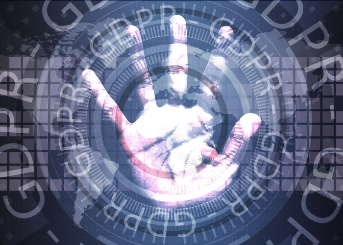 熊猫日本首次产子，熊猫日本首次产子时间