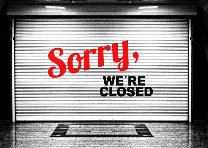 (梦幻水晶月饼的家常做法)，梦幻水晶玫瑰图片