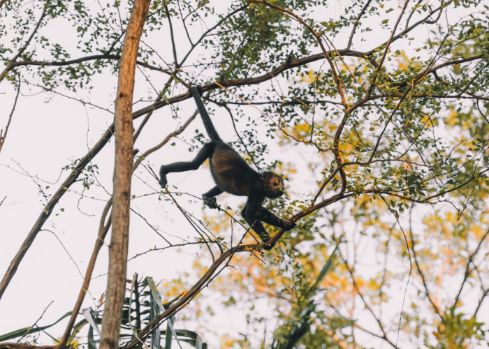 (qq密保卡绑定)，密保卡怎么解绑
