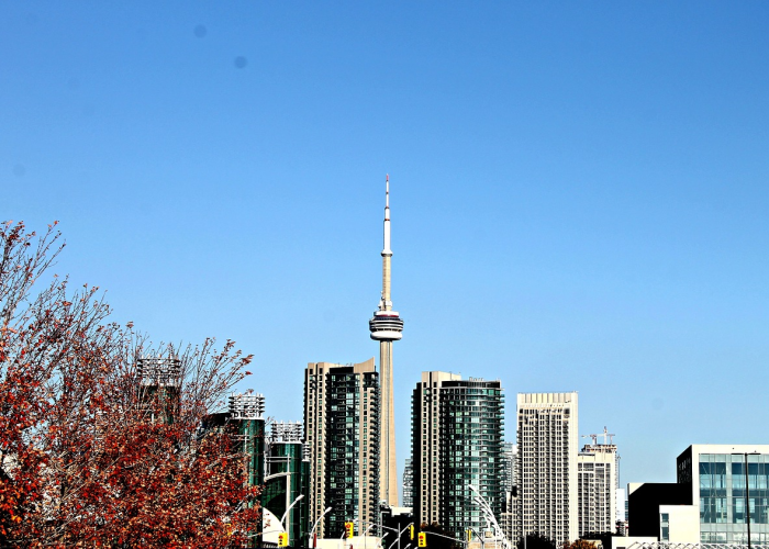 (霍格沃茨入学报名表是真的吗?)，霍格沃茨去学报名表