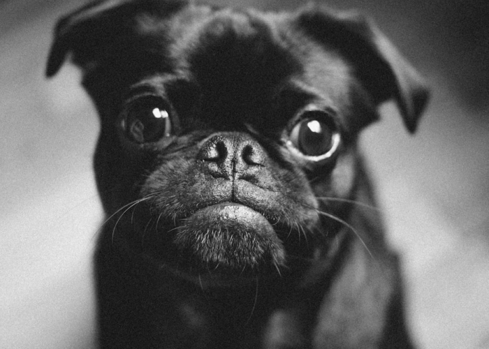 【宽带los闪红灯这怎么解决,宽带los闪红灯用不了网络怎么办】