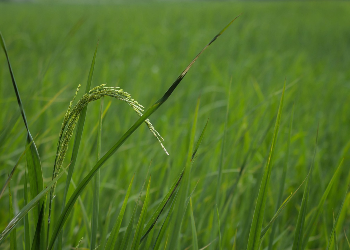 【深圳龙岗区委书记,龙岗区书记是谁】
