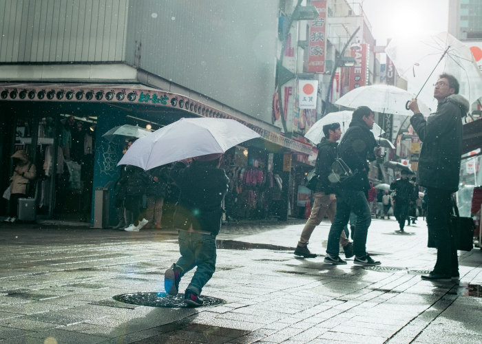 (企业信息服务)，企业信息服务管理体系