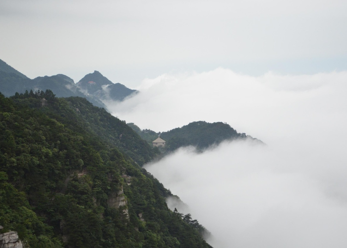 【毕竹清,毕竹清台球】