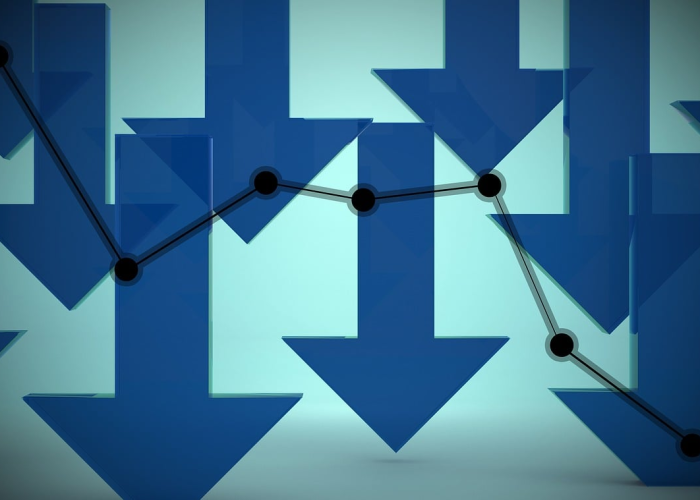 张敏个人资料简介的简单介绍