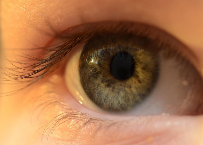 (四川泸州现牛王)，泸州牛王节