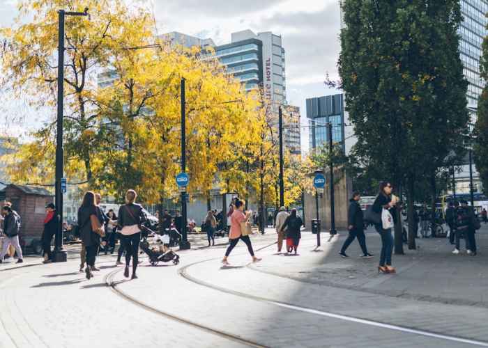 (宣布的近义词是什么)，宣布的近义词