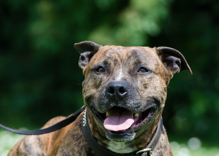 王嘉尔给粉丝捡鞋，王嘉尔给粉丝摸头