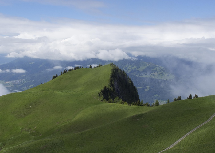 支付宝实体店银行卡红包怎么用，支付宝卡包里的实体店红包怎么使用