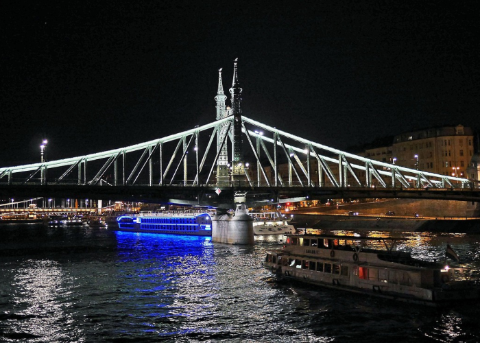 (狗宝是什么东西啊)，狗宝是什么东西值不值钱