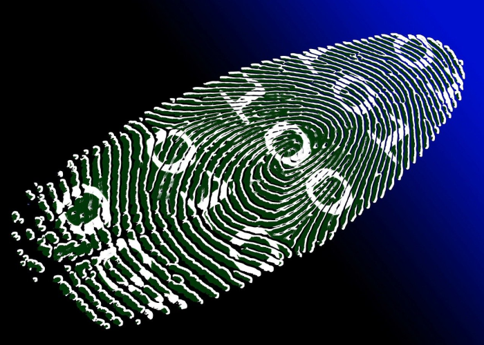 (硬件加速在哪)，硬件加速功能怎么开启