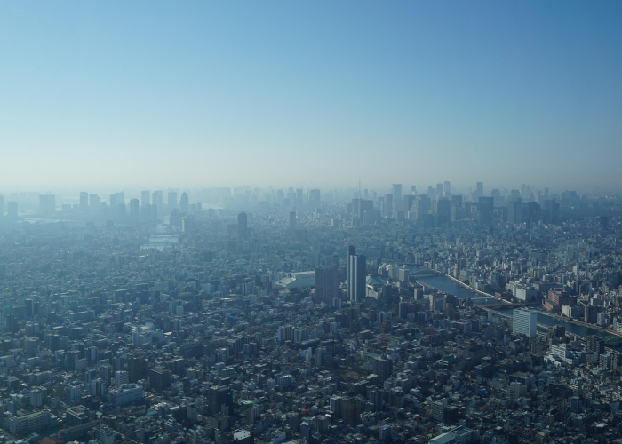 (勇敢的敢怎么组词)，勇敢的敢怎么组词语