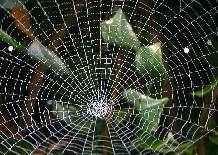 汽车提前两天退票扣多少手续费，汽车退票提前多长时间可以退