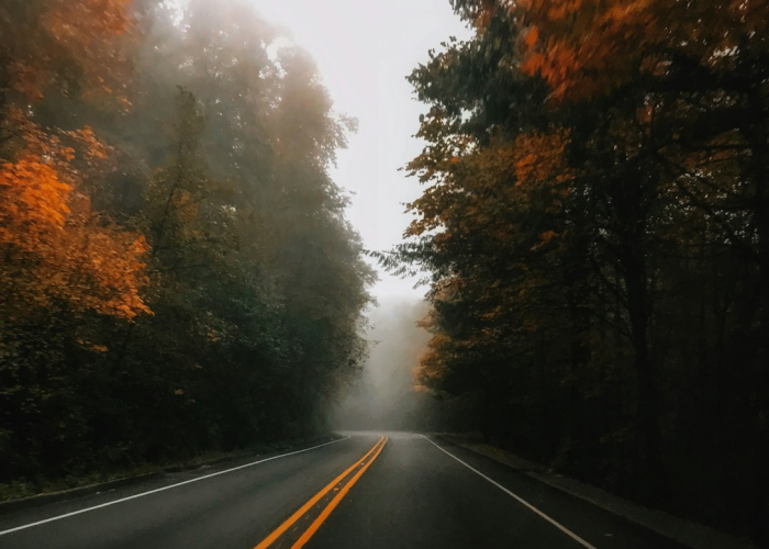 (腐拼音组词)，腐组词和拼音字