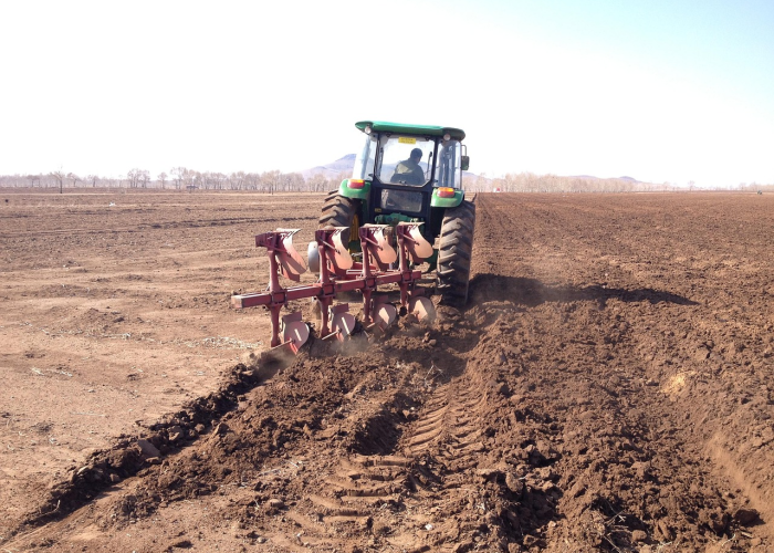 (多少价位的茶叶算高档)，多少价位的茶叶算是比较好的了