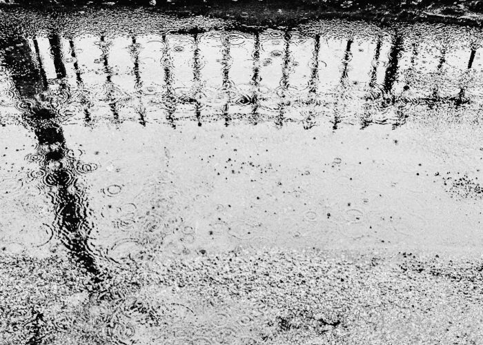 京东白条怎么借款，京东白条怎么借款iq安诚小铺cf助富掌柜