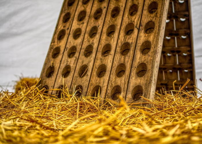 (读读小说网)，读读小说网站