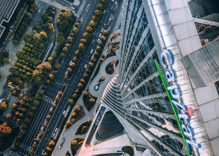 (着的偏旁部首)，着的偏旁部首是哪个