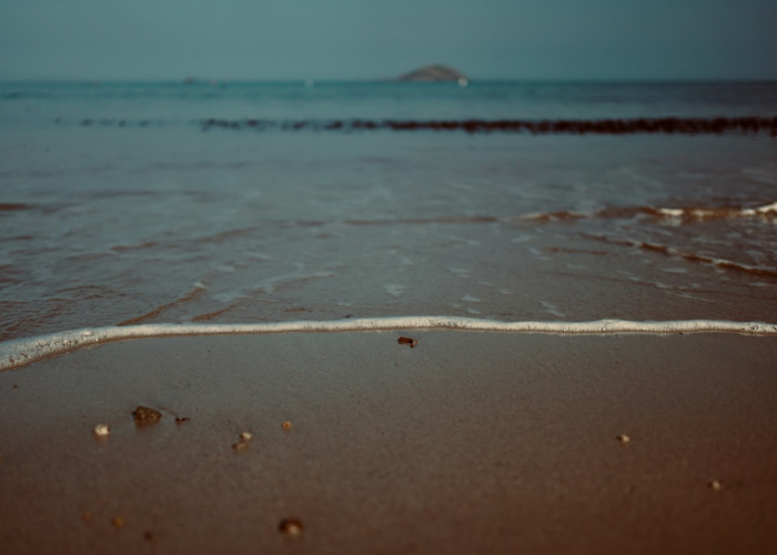 【局长的笑局长的表,局长的微笑 局长的表】