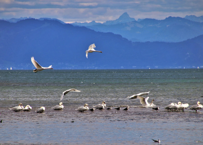 【王宝强妻子被多少人干过,王宝强妻子被多少人干过呢】