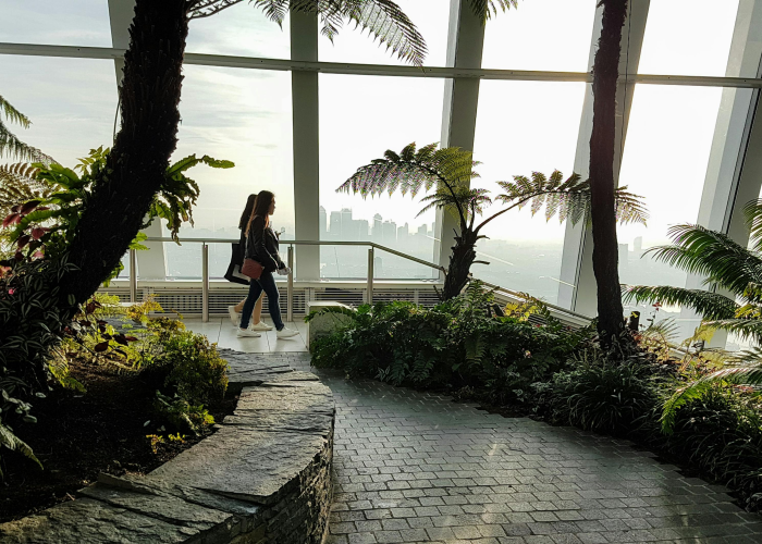 【MacBook,macbookpro免费网站】