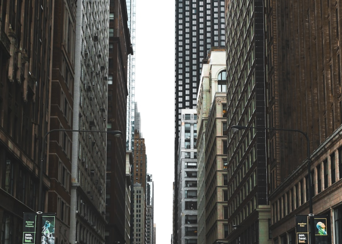 (乱花渐欲迷人眼下句是啥)，乱花渐欲迷人眼意思