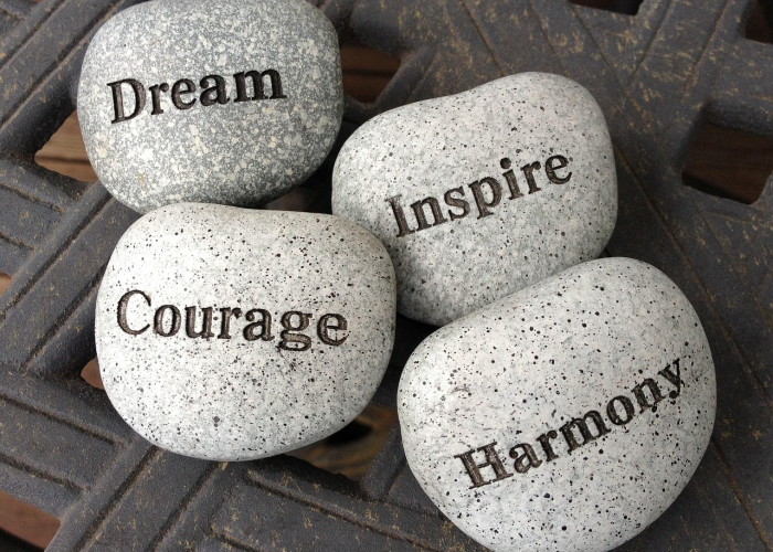 (时光如白驹过隙的详细解释)，时光如白驹过隙出自哪里