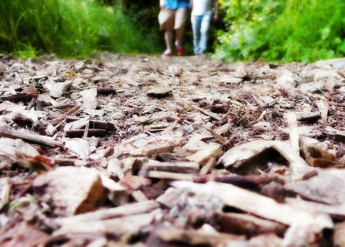 【质检员证怎么考,质检员证报考条件】