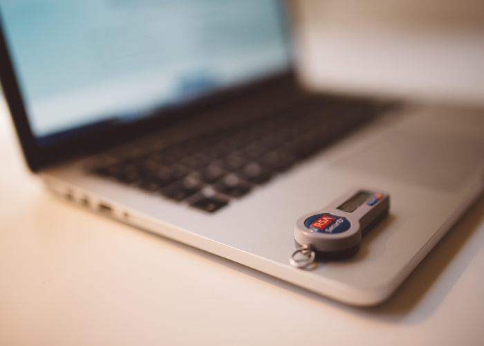 (夏枯草的功效与作用克星)，夏枯草的功效与作用苹果绿