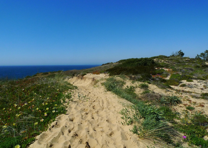 英语四级作文，英语四级作文字数要求