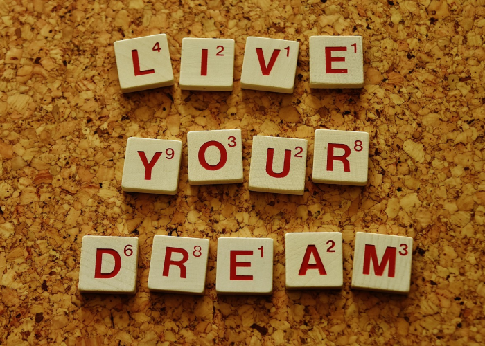 杨成武简历的简单介绍的简单介绍