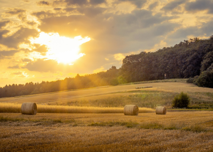 沈阳服装批发，沈阳服装批发市场